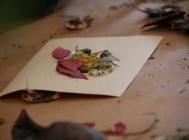 APPLAUSE Journal 3: Up and running!