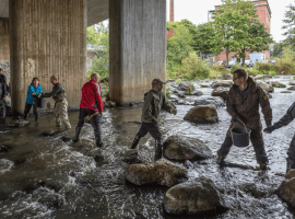 The power of plain science