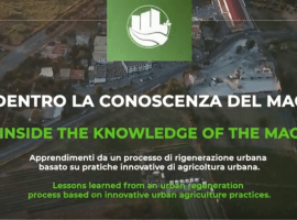 MAC Project ZOOM-in 3: The protagonists pass on the acquired knowledge