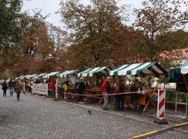 cover picture applause journal