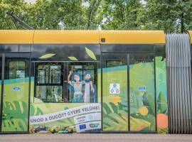 Community transport vehicles