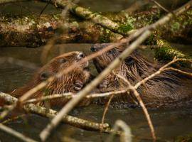 Cover photo : Journal 1