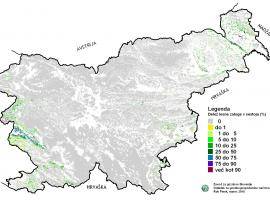 Distribution of Black locust in Slovenia (source: Slovenian Forest Service)