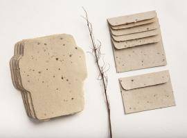 Handmade paper products made out of invasive alien plants
