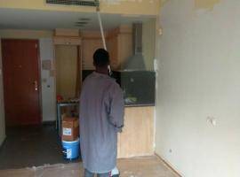 Adolescent renovating flat