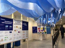 Ferraria phygital space