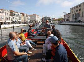 Aveiro STEAM City Energy Use Case – Electric “Moliceiros”