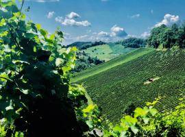 Maribor InnoRural's online marketplace