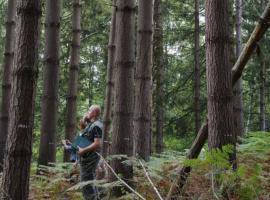 APPLAUSE - invasive tree species