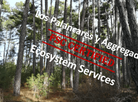 The first public forest in the region to be certified for ecosystem services
