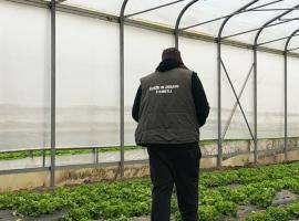 US4F Zoom-in 2: How to setup a short food chain distribution platform?