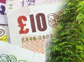 generic image with money and vegetation