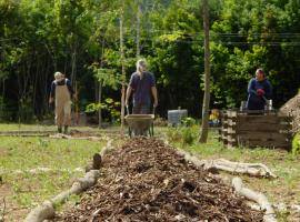 US4F Journal 3: Community gardens are open!