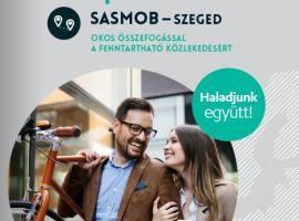 SasMob best practices brochure