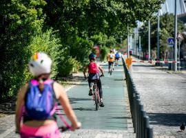 The Vox Pop Project Journal No 3