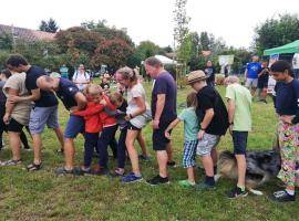 Highlights from Szabad a Tér Initiatives