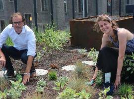 resilio project news