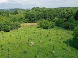 Radvanice target area from drone view