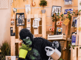 Photo: Prato Urban Jungle (c) greenApes