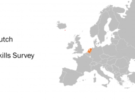 Dutch Skills Survey