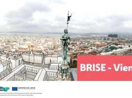 Zoom in - Piloting the BRISE building verification system