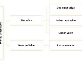 Total Economic Value – reproduced by IUCN, TNC, World Bank (2004)