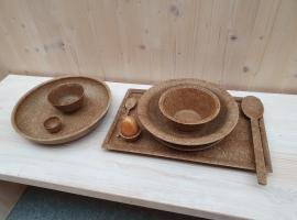 Processing of wood residues into 3D bio-composites