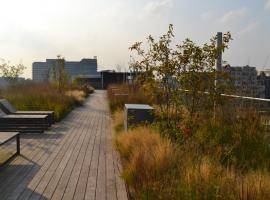 A smart blue-green roof at an office block in the Amsterdam Zuidas area (photo credits: De Dakdokters)