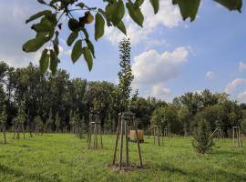 New plantation in Radvanice, Ostrava
