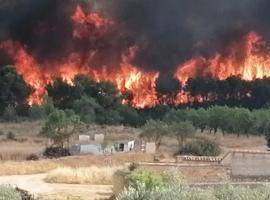 Wildfire in Venta del Moro, 4th July 2022