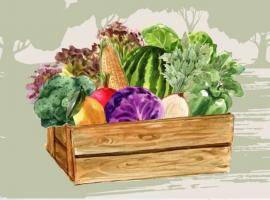 Pozzuoli journal: what impacts on the local community?