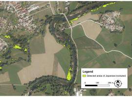 Satellite image Japanese knotweed