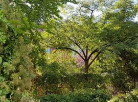 Prato will become an urban jungle