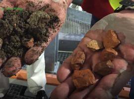 Brick-Beach Zoom-in 1