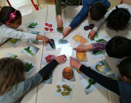 Lille TASTINFIVES UIA