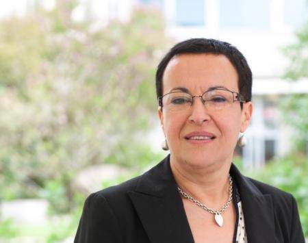 Nantes UIA project 5 bridges