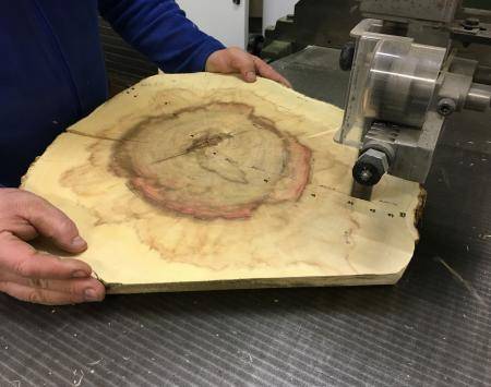 Szeged Ljubljana invasive plant research