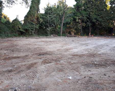 SALUS SPACE clearing