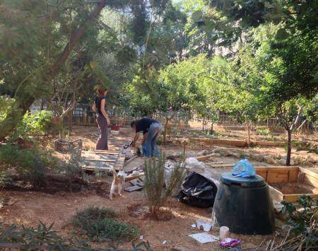 Curing the Limbo journal