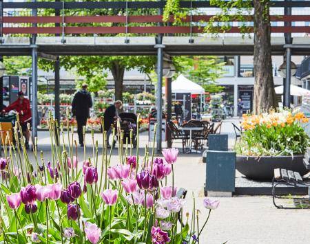 LINC UIA project Albertslund