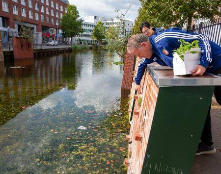Checking vegetation grow on the walls of the small-scale pilot