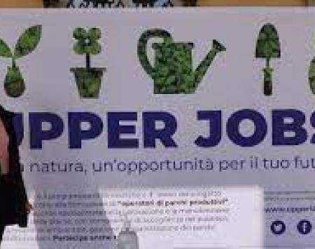 Upper Jobs