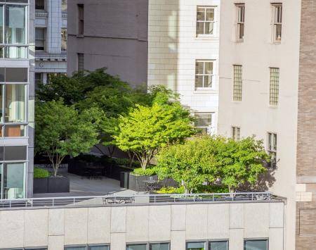 People in the Ostrava agglomeration are in favour of planting new greenery