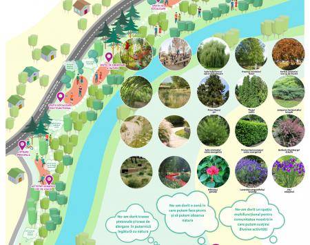 Colonia Topitorilor - Participatory process