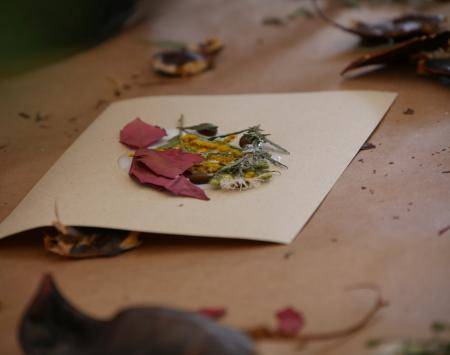 APPLAUSE Journal 3: Up and running!