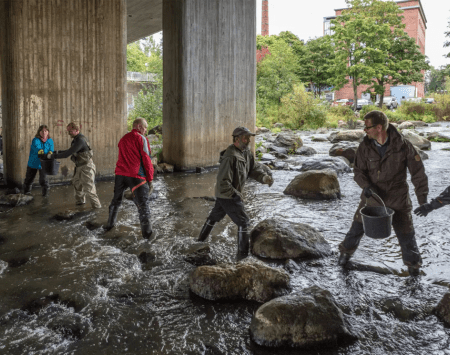 The power of plain science