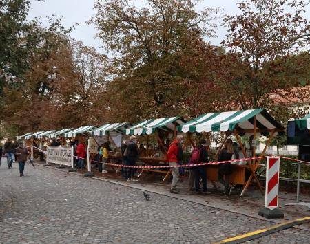 cover picture applause journal