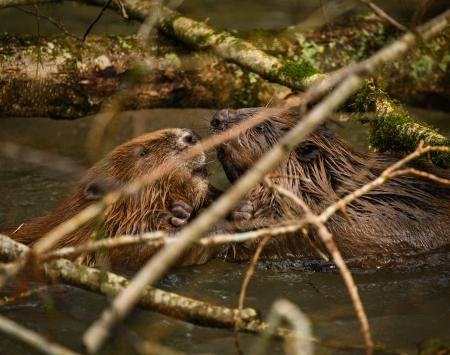 Cover photo : Journal 1