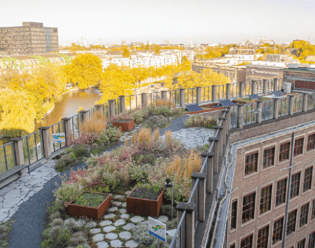 Innovation Lab Premselahuis – Photo: Wieke Braat