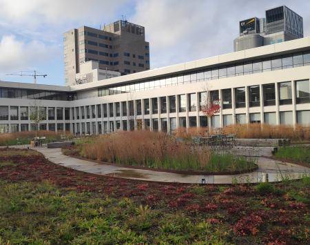 A smart blue-green roof at an office block in the Amsterdam Zuidas area